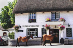 To think that riders should have to clean up horse mess?