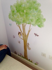 Please help me design my 10mo baby girl's room!!