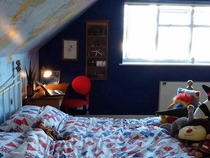 Have any of you painted a room dark blue?