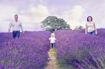 looking for some beautiful photos of your family?