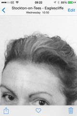 For those of us going grey