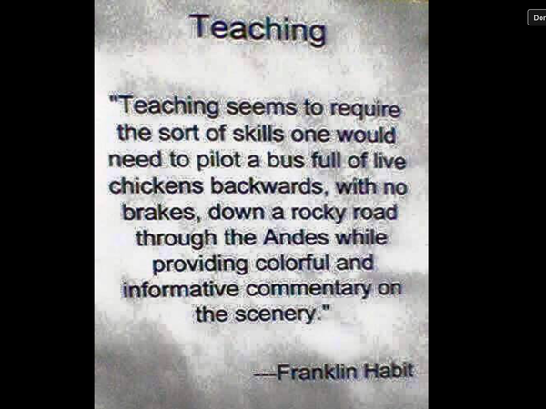 could i have a realistic view of what primary teachings like please?