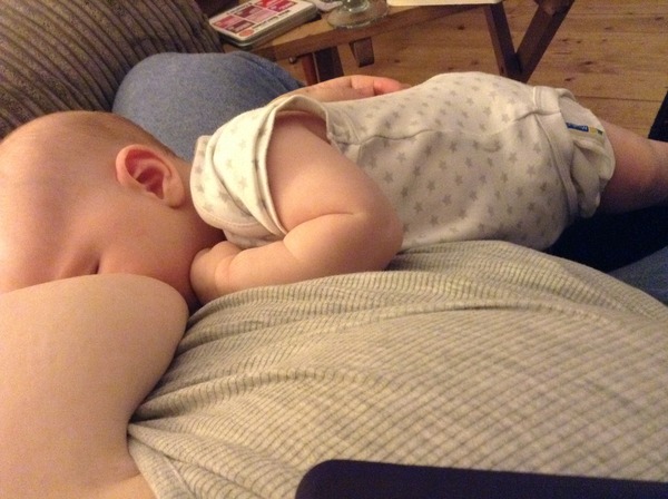 August 2015 - Jaffa cake wars and many Mugabe greetings to you!