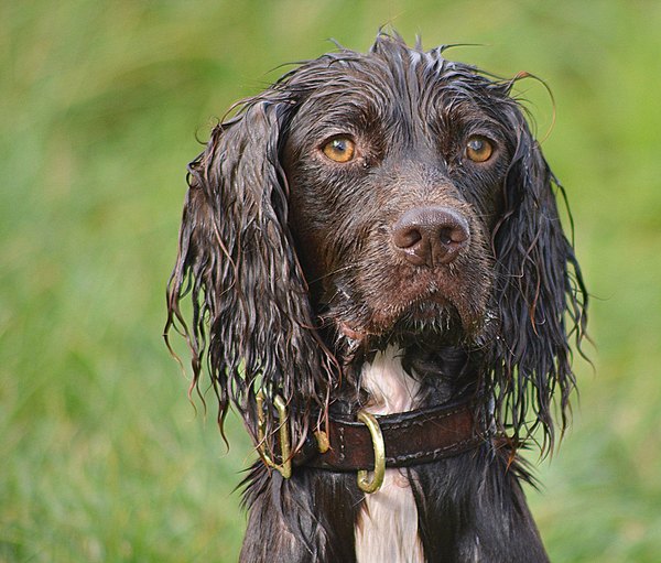 Talking of swimming in colder weather...