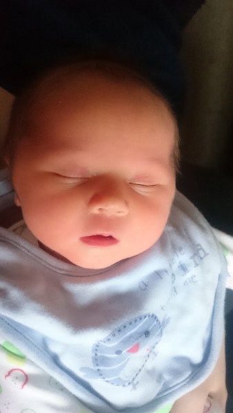 November 2015 Thread - Teams Yellow, Pink and Blue selection has started!