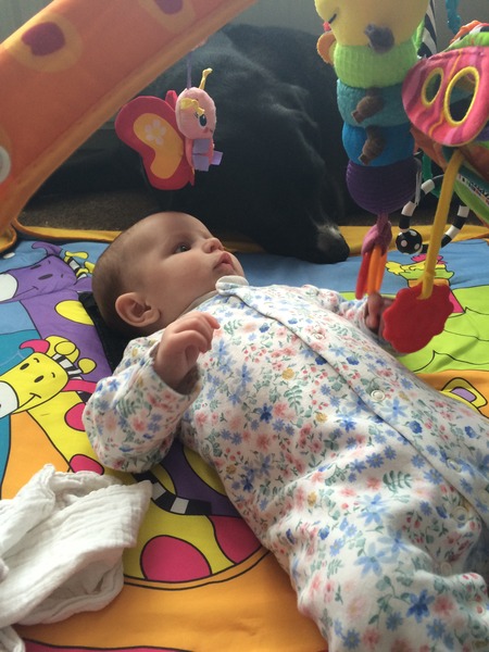 August 2015 - Let the Sleepless Nights Commence