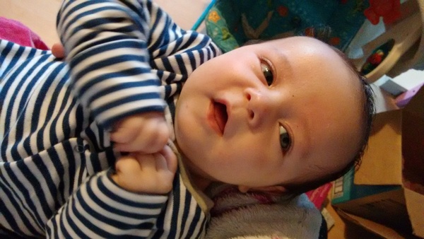 August 2015 - Jaffa cake wars and many Mugabe greetings to you!