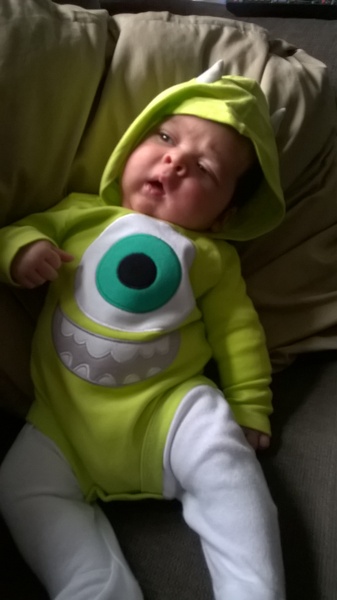 August 2015 - Jaffa cake wars and many Mugabe greetings to you!