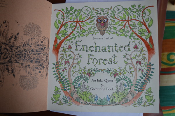 Adult colouring in - come join us, we're friendly!