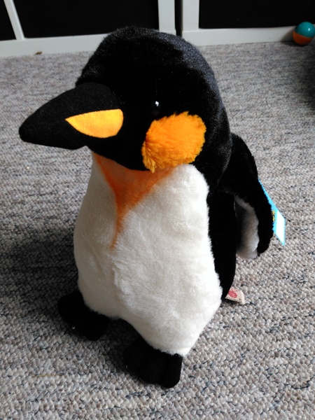 Thread 6: I'm sleep shopping