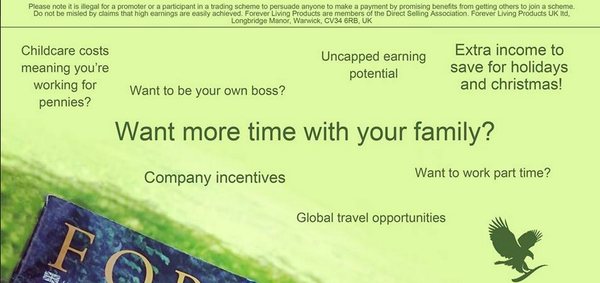 MLm-bot watch - now including Timeless Vie!!