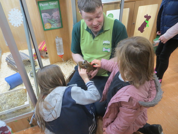 Find out what Mumsnetters thought of the My Pet Pals workshop at their local Pets at Home store NOW CLOSED