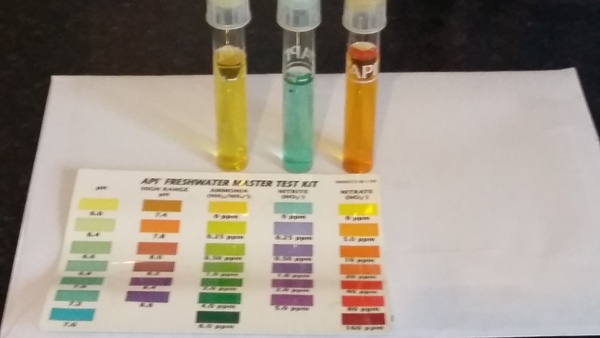 300ltr tank, what would you put in it?