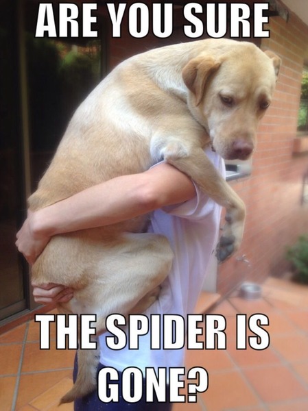 5:2 Thread number 57: If you follow your heart and it leads to the cake tin, then it's time to try a new approach. Join our friendly group.