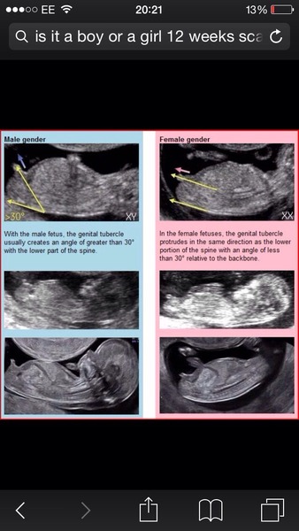 March 2016 Babies!  Here's thread #5!!