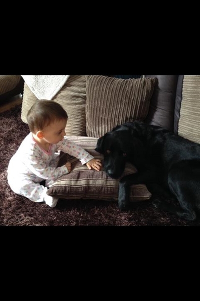 To tell my sister if she buys a Staffie I won't bring DS around to hers?