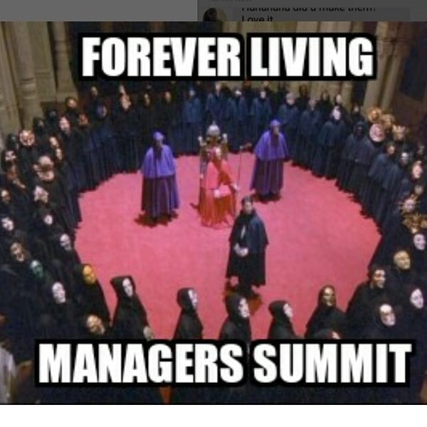MLm-bot watch - now including Timeless Vie!!