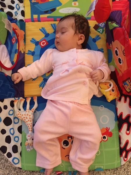 August 2015 - Jaffa cake wars and many Mugabe greetings to you!