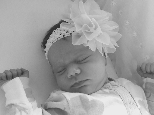 August 2015 - Let the Sleepless Nights Commence