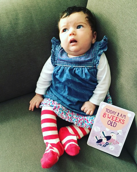 August 2015 - Let the Sleepless Nights Commence