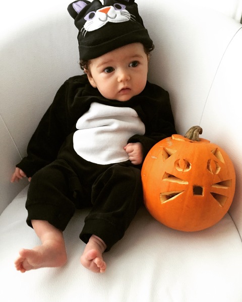 August 2015 - Jaffa cake wars and many Mugabe greetings to you!