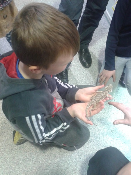 Find out what Mumsnetters thought of the My Pet Pals workshop at their local Pets at Home store NOW CLOSED
