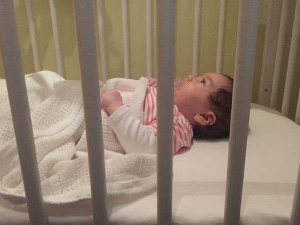 August 2015 - Jaffa cake wars and many Mugabe greetings to you!