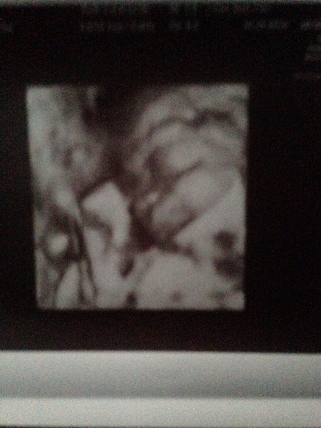 March 2016 Babies!  Here's thread #5!!