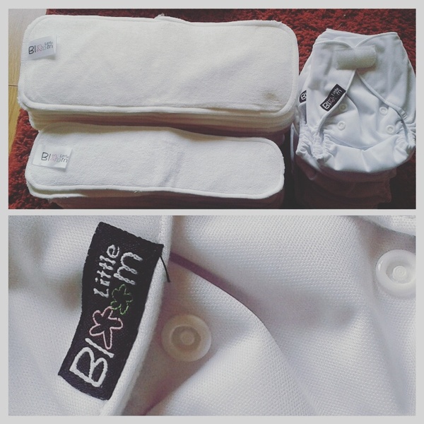 February 2016 Halfway mark: Flutters into kicks into thwacks!