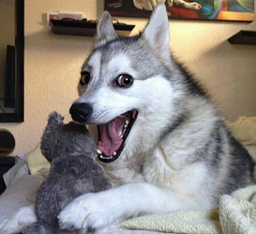 to think a muffin is not a reason to get angry