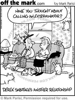 AIBU to think that as I don't own a cat I shouldn't have to clear up cat sh*t from my garden every other day??