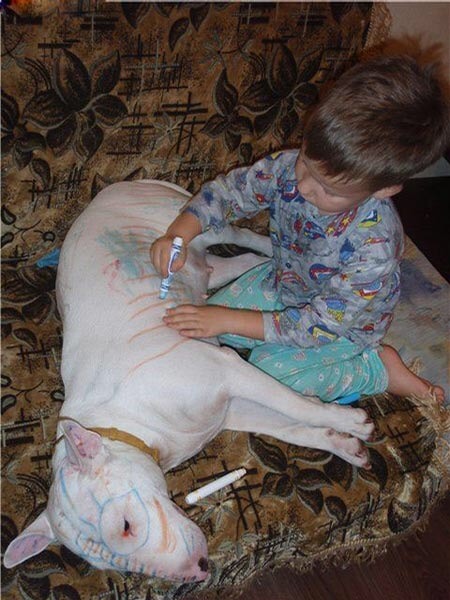 To tell my sister if she buys a Staffie I won't bring DS around to hers?