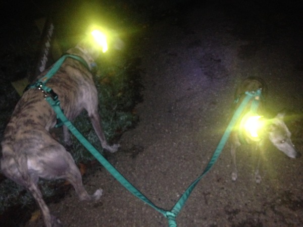 2015 Running Thread Part 7