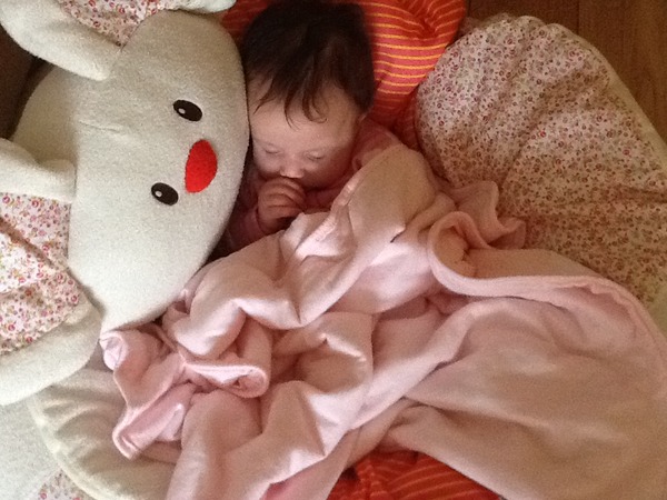 August 2015 - Jaffa cake wars and many Mugabe greetings to you!