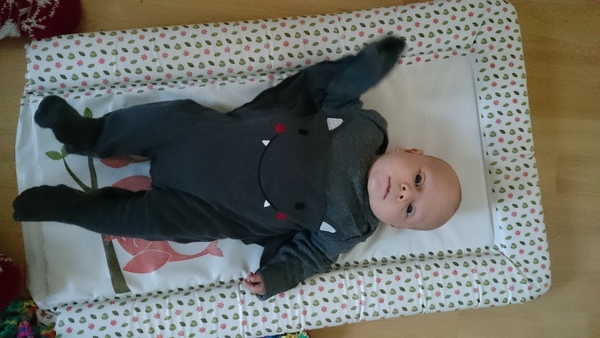 August 2015 - Jaffa cake wars and many Mugabe greetings to you!