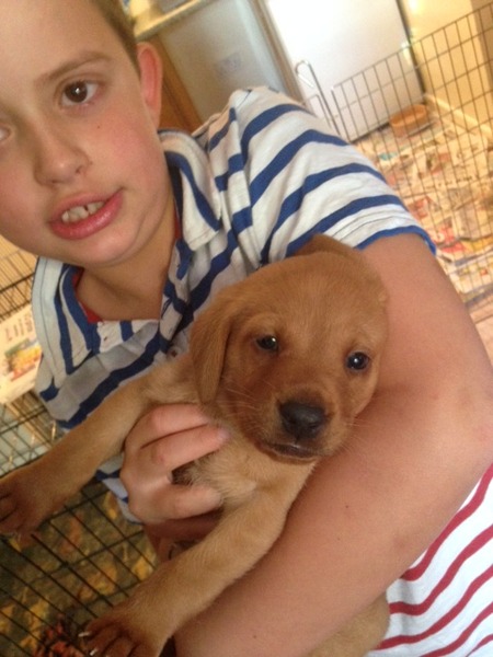 Puppy product recommendations please!