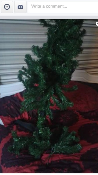To think that after all the FB glittery shite threads, we need an FB Xmas shite thread?