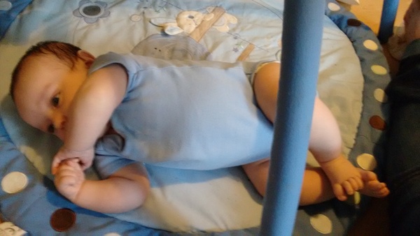 August 2015 - Jaffa cake wars and many Mugabe greetings to you!