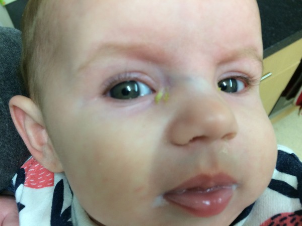 August 2015 - Jaffa cake wars and many Mugabe greetings to you!