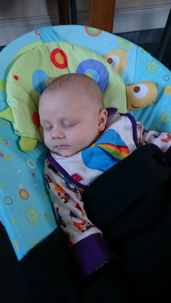 August 2015 - Jaffa cake wars and many Mugabe greetings to you!