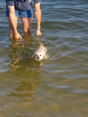 To cold to swim