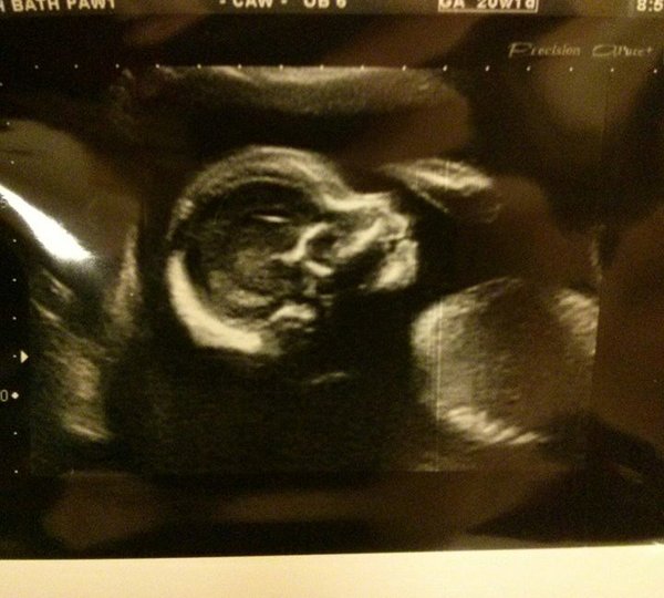 March 2016 Babies!  Here's thread #5!!