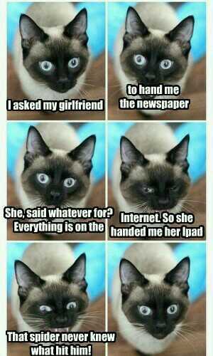 WTF WAS THAT THING? With Bess Tiger