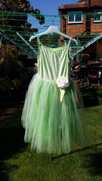 10 yo ds wants a dress