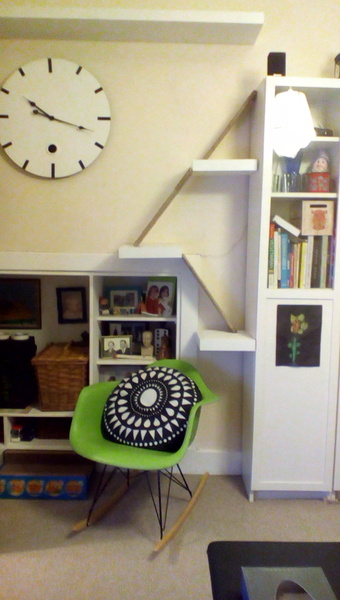 Put up cat shelves for climbing -cat not interested!