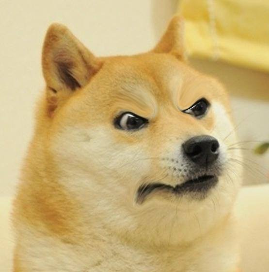 To go back on getting a dog?
