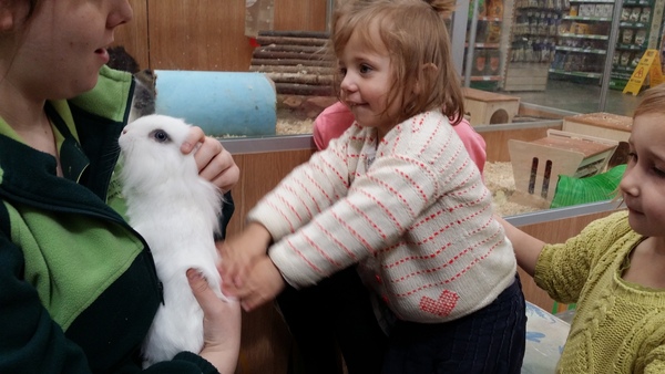UK MNer with a child aged 7-11? Sign up to attend a My Pet Pals workshop at your nearest Pets At Home - £300 voucher to be won for feedback NOW CLOSED
