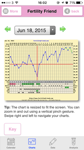 Any temping experts fancy having a look at my chart?