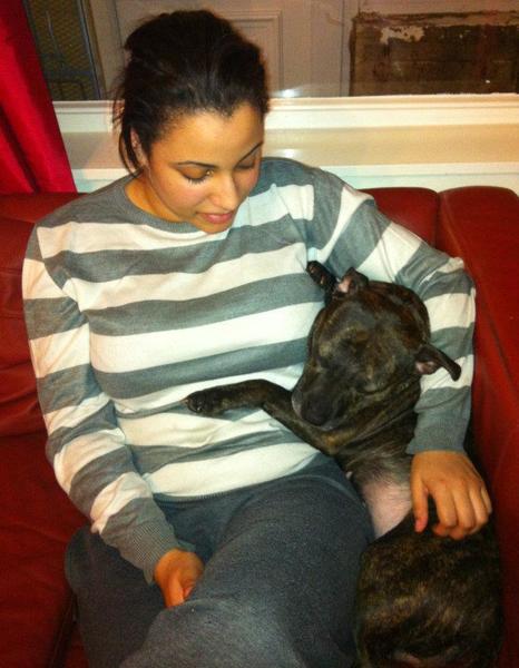 To tell my sister if she buys a Staffie I won't bring DS around to hers?
