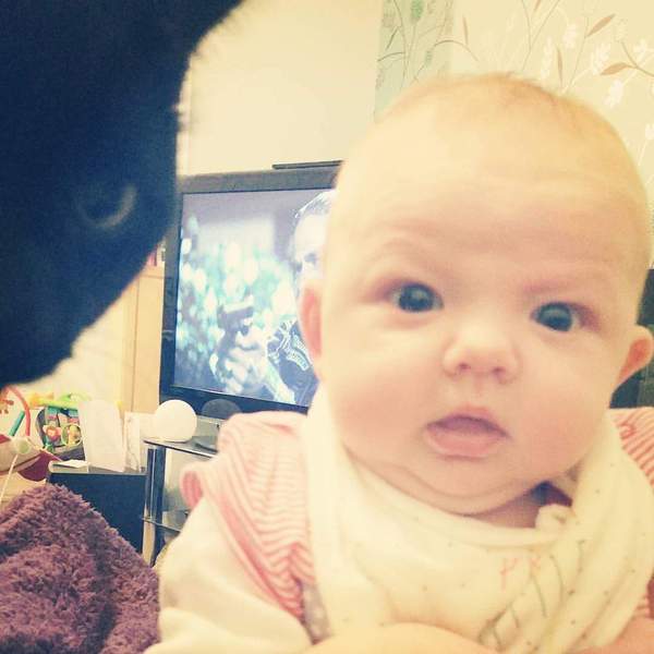 August 2015 - Jaffa cake wars and many Mugabe greetings to you!